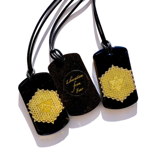 Specialized Project - Defense